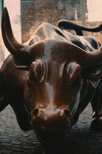 Wallstreet Bulle - Börsenstrategien