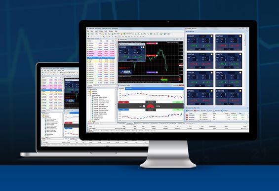 Wwm forex company