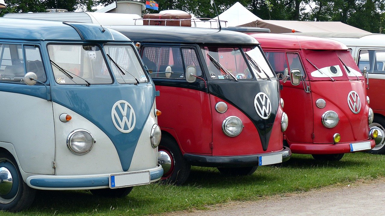 VW Busse parken nebeneinander auf einer Grünfläche