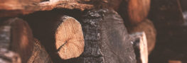 Holz
