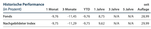 Historische Performance - Fonds & Nachgebildeter Index